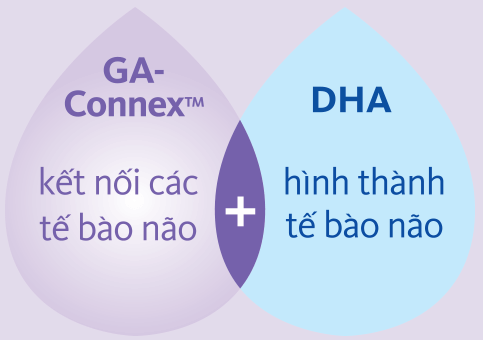 dưỡng chất vàng GA- connex cùng DHA, sữa bầu nào tốt, Mẹ đây rồi