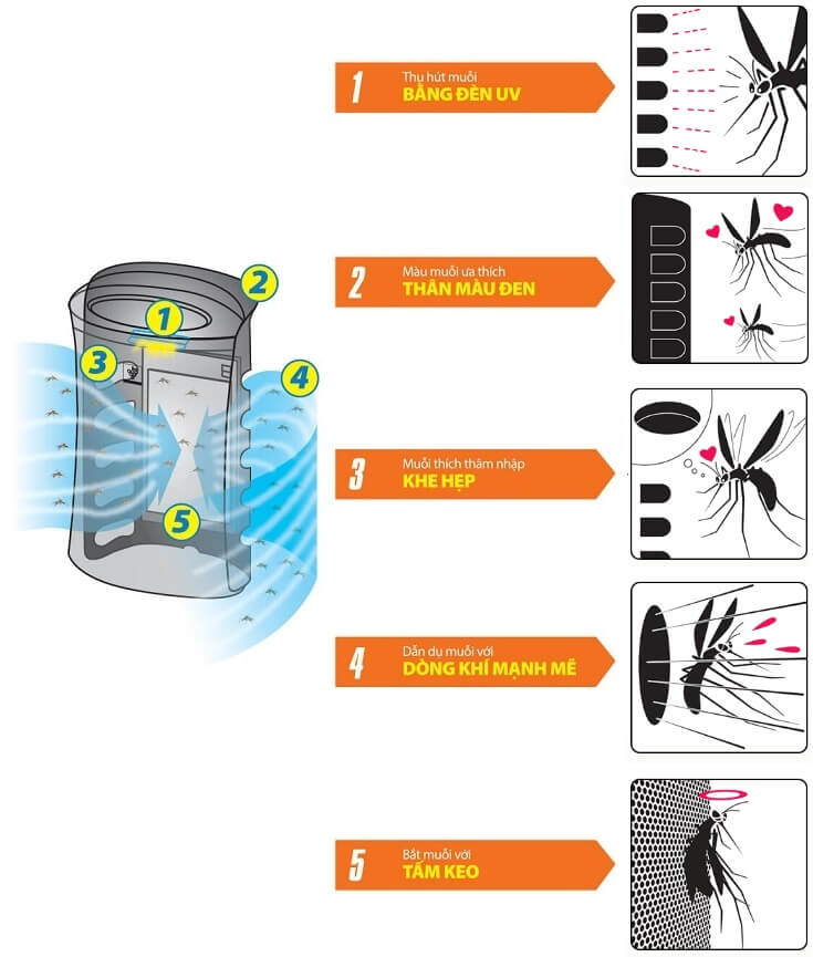 Bắt muỗi qua 5 bước đơn giản
