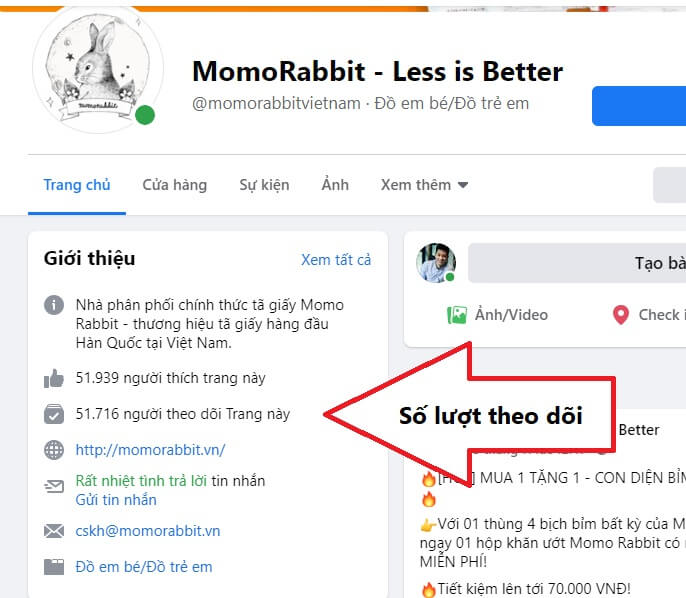 Review Bỉm Momo Rabbit