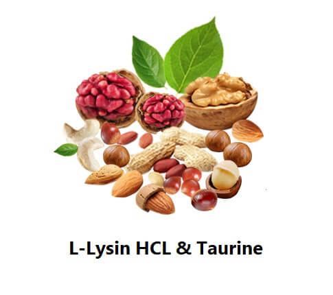 Review thuốc trị táo bón Momby Fib l-lysin hcl và taurine