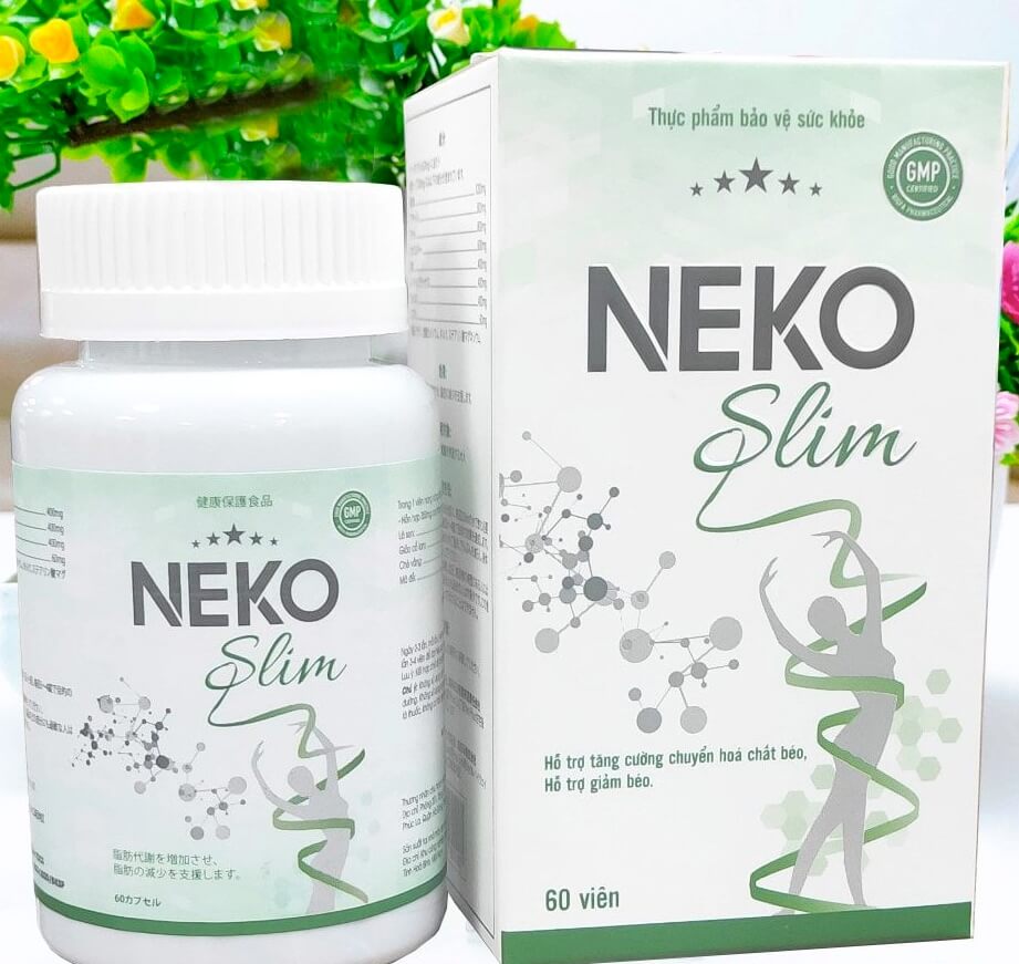 Neko Slim lừa đảo hình 18