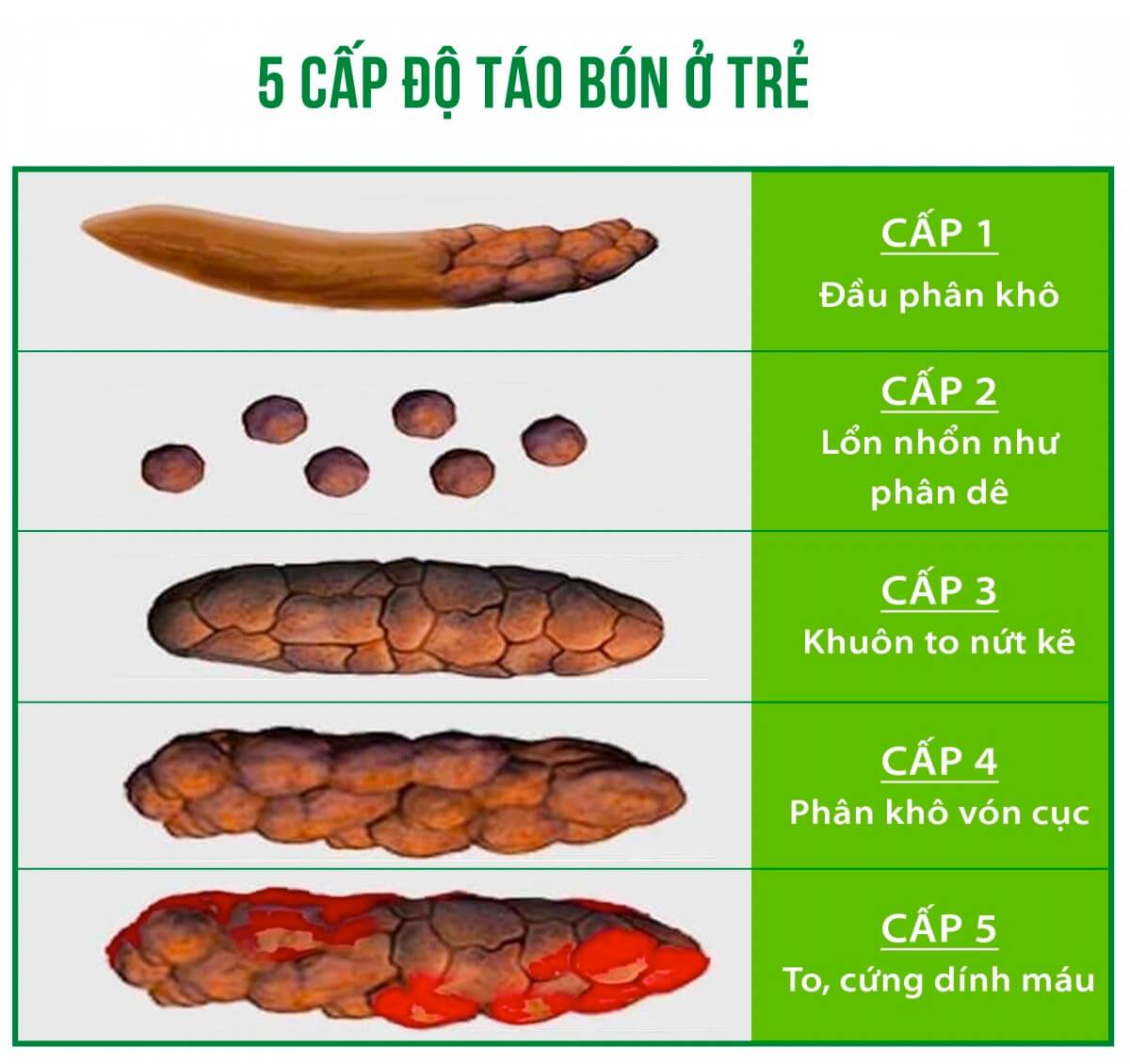 Momby Fib lừa đảo hình 3