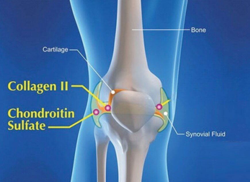 Thuốc jointlab của nước nào sản xuất ở đâu có phải của Đức không hình 22