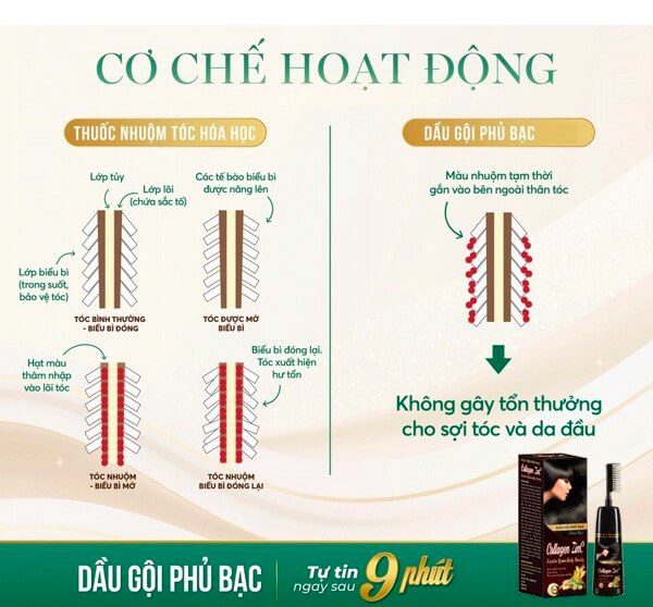 Dầu gội phủ bạc Collagen Zinc có tốt không giá bao nhiêu cách sử dụng hình 6