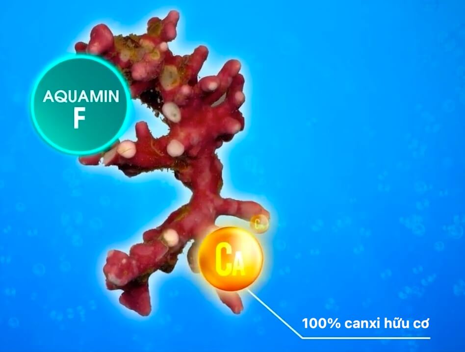 Aquamin F là canxi hữu cơ hay vô cơ hình 7