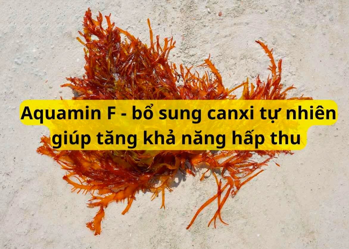 Aquamin F là canxi hữu cơ hay vô cơ hình 5