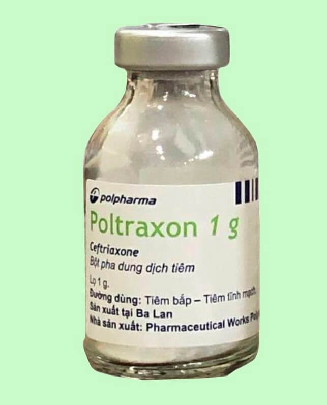 Poltraxon là thuốc gì thuốc biệt dược giá bao nhiêu hình 9