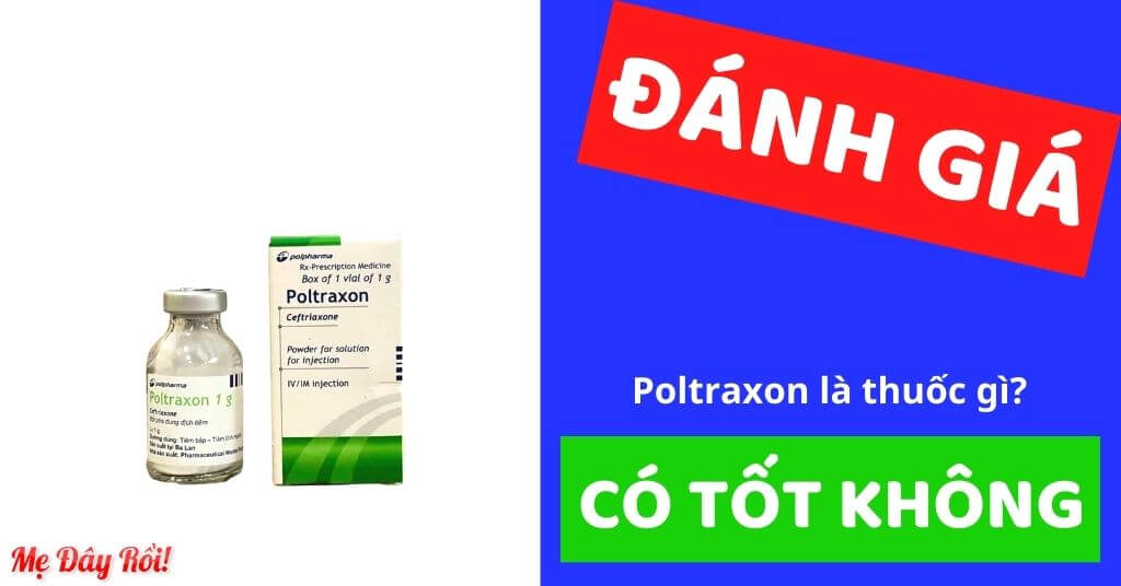 Poltraxon là thuốc gì thuốc biệt dược giá bao nhiêu