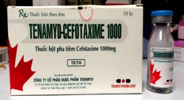 Tenamyd Cefotaxime là thuốc gì thành phần có tác dụng gì hình 8