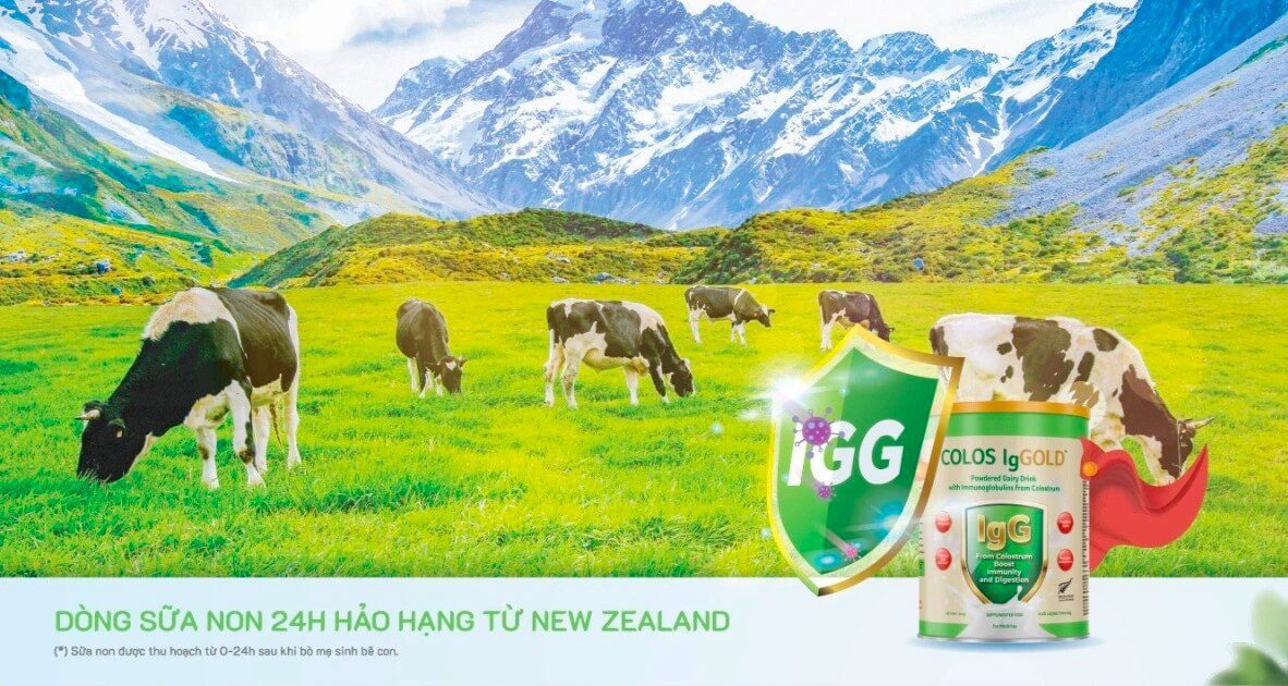 Sữa Colos IgGold có tốt không giá bao nhiêu lừa đảo hình 11