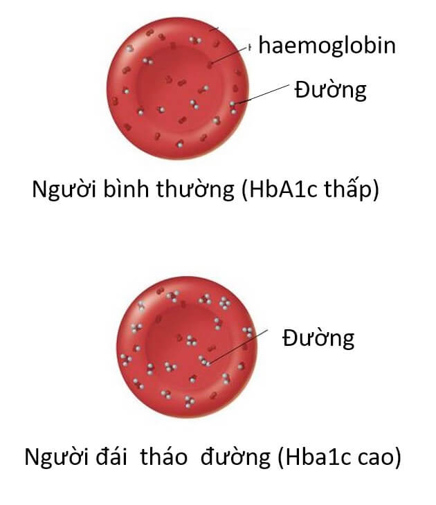 viên uống tiểu đường Ala Bio có tốt không giá bao nhiêu hình 20