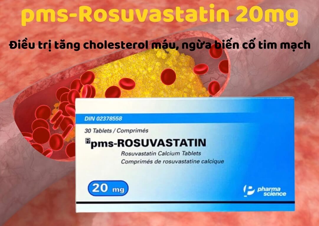 Thuốc pms-Rosuvastatin 20mg điều trị tăng cholesterol nguyên phát (loại IIa), rối loạn lipid hỗn hợp (loại IIb), tăng cholesterol gia đình kiểu đồng hợp tử, phòng ngừa các biến cố tim mạch hình 4