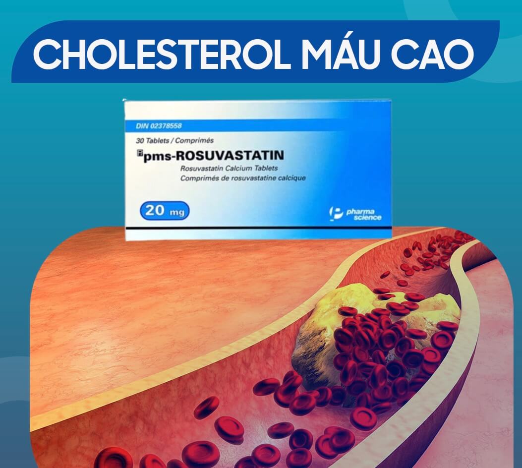 Thuốc pms-Rosuvastatin 20mg điều trị tăng cholesterol nguyên phát (loại IIa), rối loạn lipid hỗn hợp (loại IIb), tăng cholesterol gia đình kiểu đồng hợp tử, phòng ngừa các biến cố tim mạch của công ty Pharmascience Inc., số đăng ký VN-18412-14 hình 8