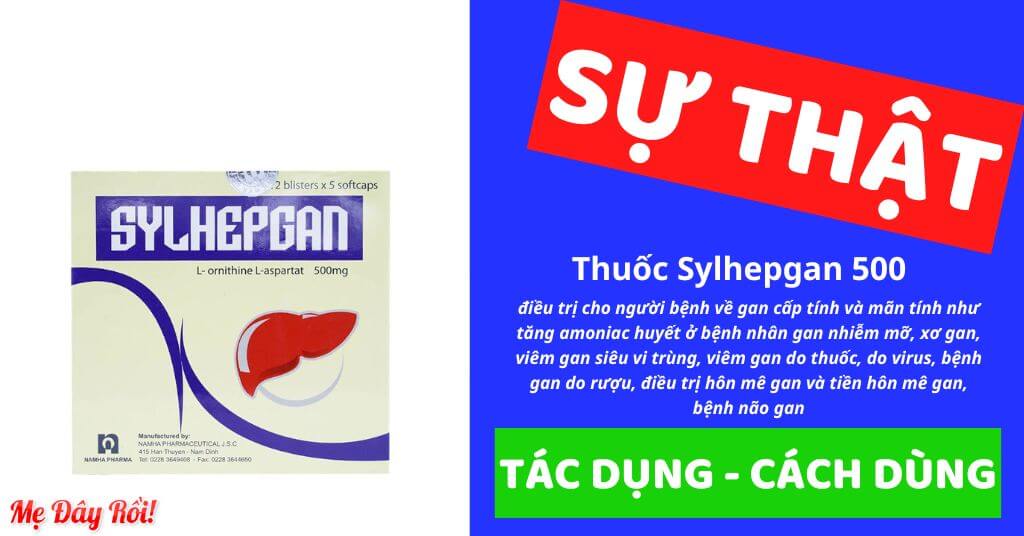 Thuốc Sylhepgan điều trị cho người bệnh về gan cấp tính và mãn tính như tăng amoniac huyết ở bệnh nhân gan nhiễm mỡ, xơ gan, viêm gan siêu vi trùng, viêm gan do thuốc, do virus, bệnh gan do rượu, điều trị hôn mê gan và tiền hôn mê gan, bệnh não gan là thuốc gì, giá bao nhiêu, của Công ty Cổ phần Dược phẩm Nam Hà, số đăng ký VD-19909-13