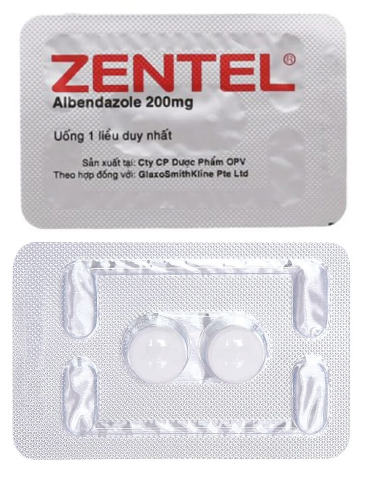 Thuốc Zentel 200mg chứa hoạt chất chính là Albendazole với hàm lượng 200mg/viên, giúp điều trị các loại giun đường ruột và mô nhạy cảm như Giun kim, giun lươn, giun đũa, giun tóc, ấu trùng di chuyển dưới da: là thuốc gì, giá bao nhiêu, cách uống, uống trước hay sau ăn, uống khi nào, uống mấy viên, liều dùng, GSK 1x2, hình 8