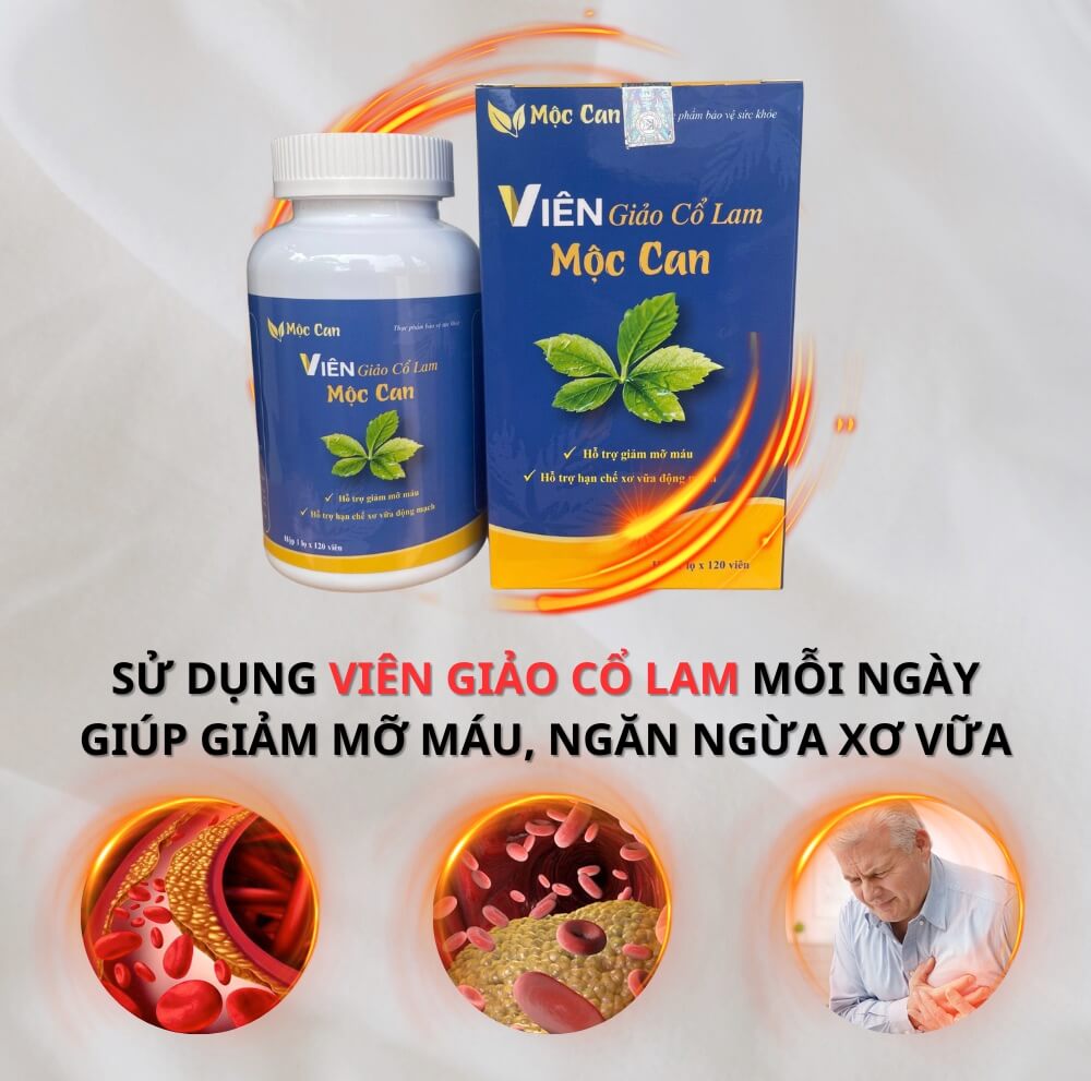 Viên giảo cổ lam Mộc Can hỗ trợ ổn định huyết áp, hạ mỡ máu, hỗ trợ điều trị bệnh tiểu đường, ngăn ngừa xơ vữa mạch máu hình 6