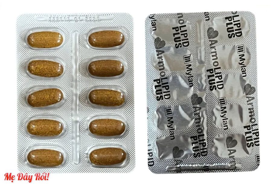 Armolipid Plus hình 4