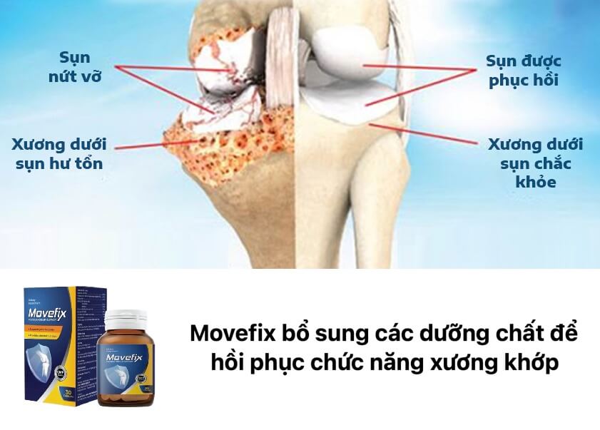 Movefix hình 21