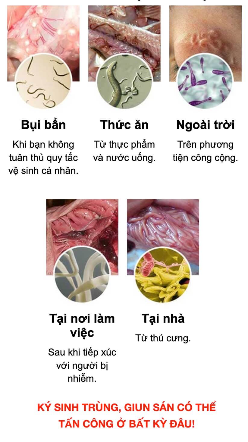 Thuốc Parasitic là gì