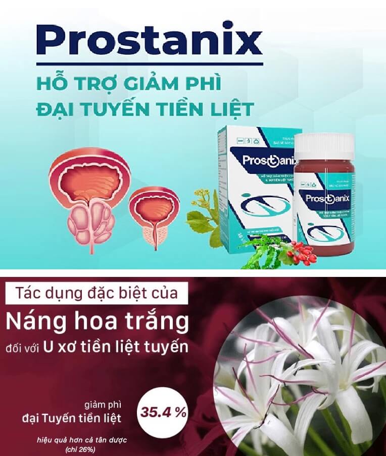 Prostanix long châu hình 6