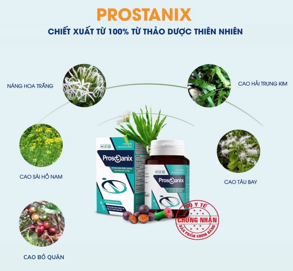 Thuốc hỗ trợ tuyến tiền liệt prostanix