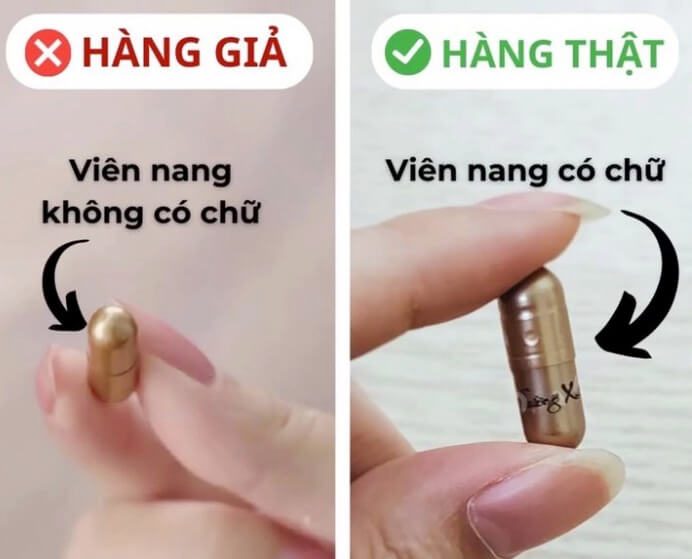 Trường xuân vương mua ở đâu giá bao nhiêu hình 3