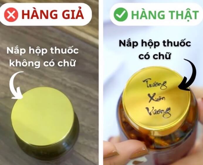 Trường xuân vương mua ở đâu giá bao nhiêu hình 4