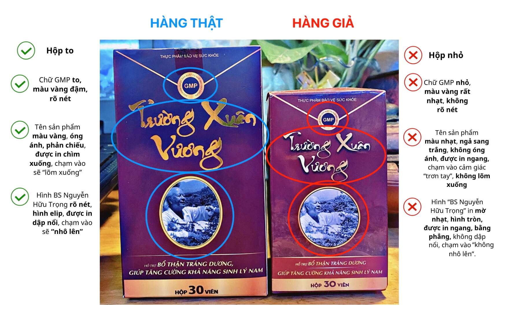 Trường xuân vương mua ở đâu hình 2