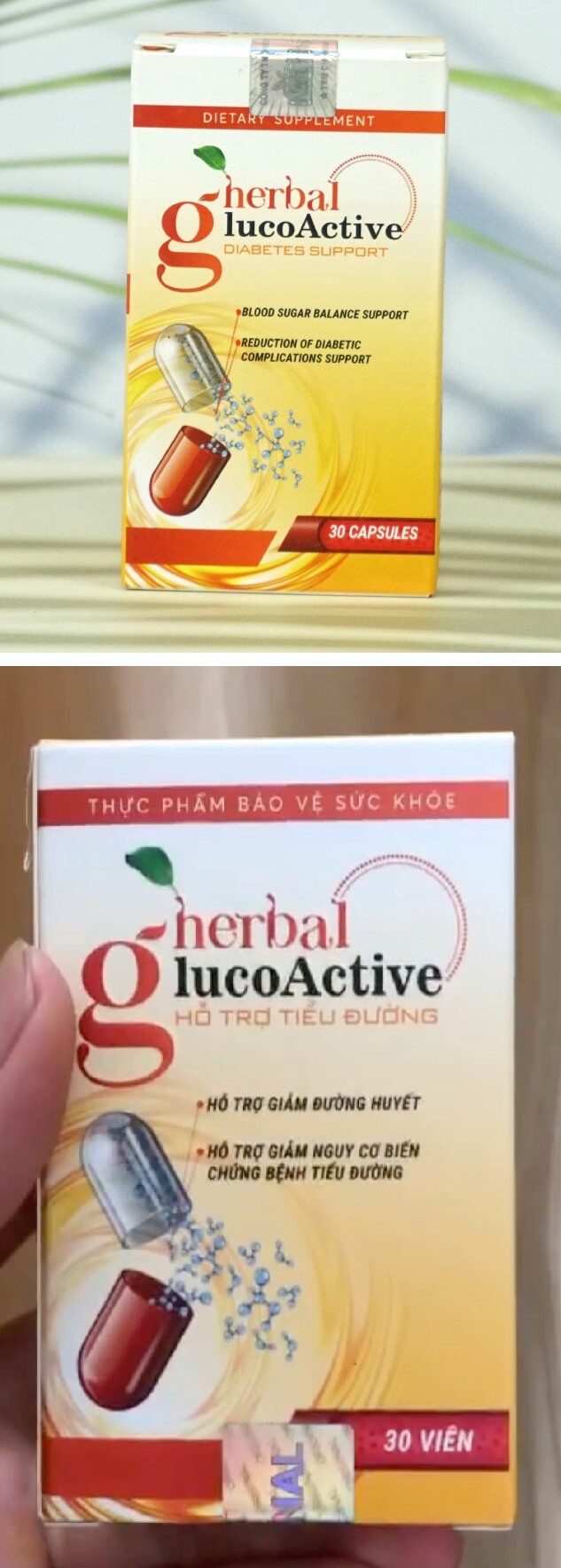 Glucoactive herbal