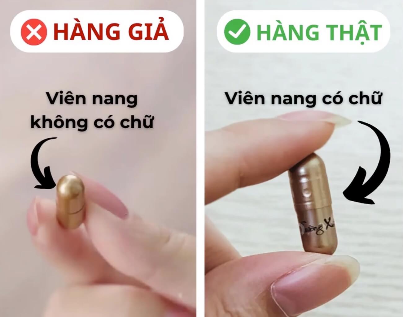 Dược liệu trường xuân vương