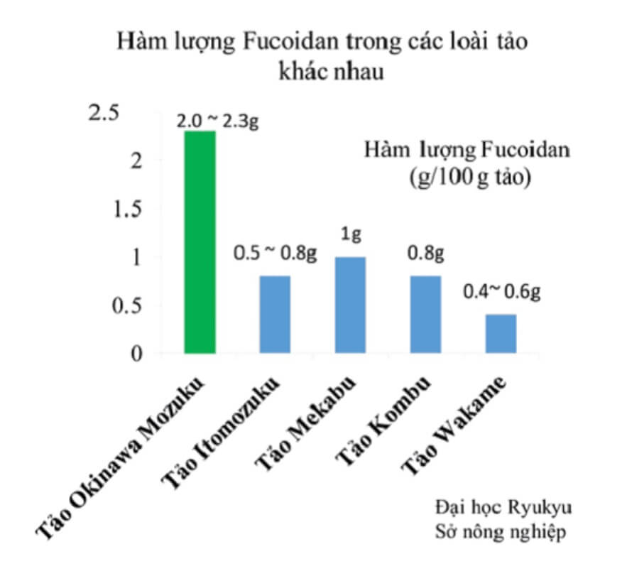 Bột thực dưỡng fucoidan