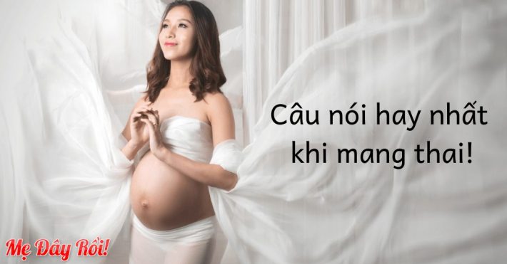 28 câu nói hay khi mang thai: TÂM ĐẮC & Ý NGHĨA nhất!